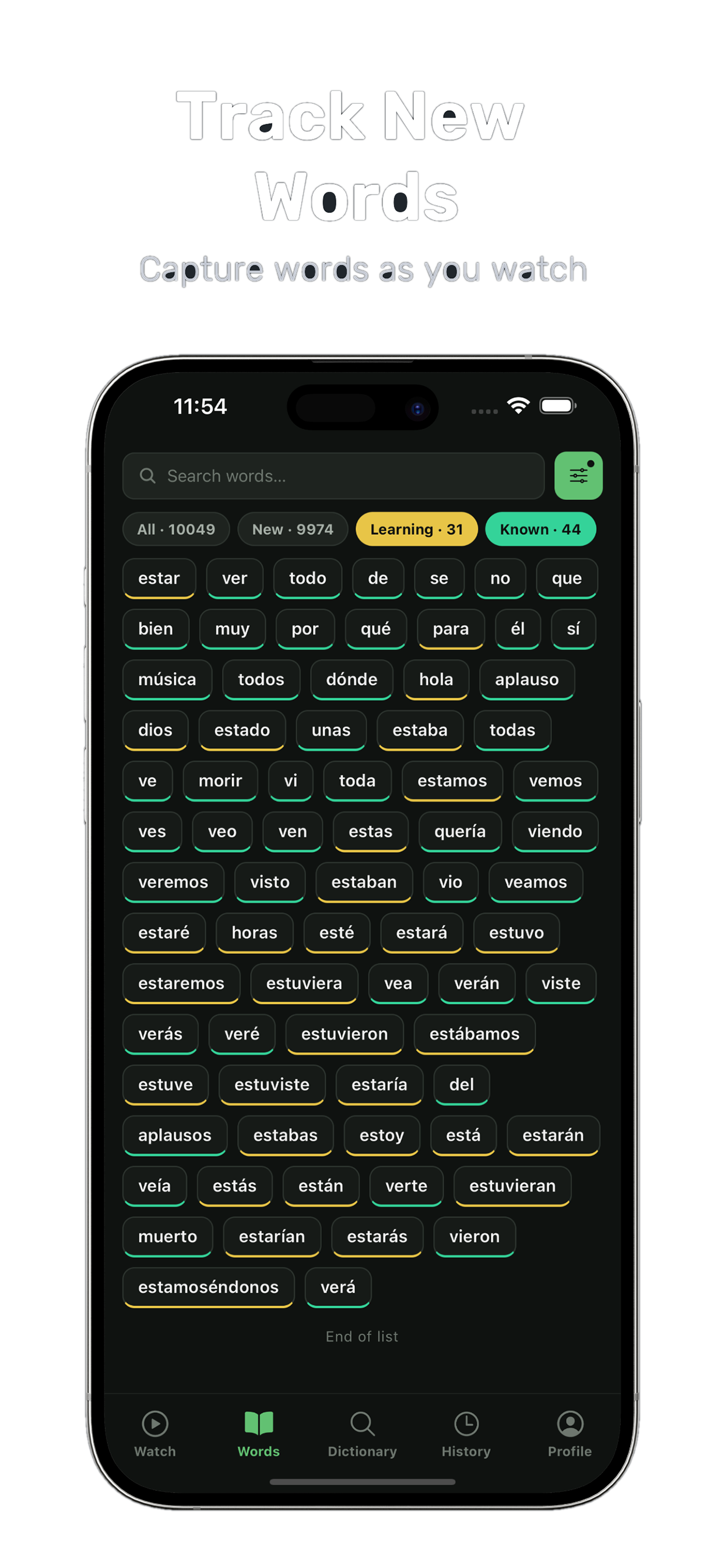 LingoLens iOS app word tracking